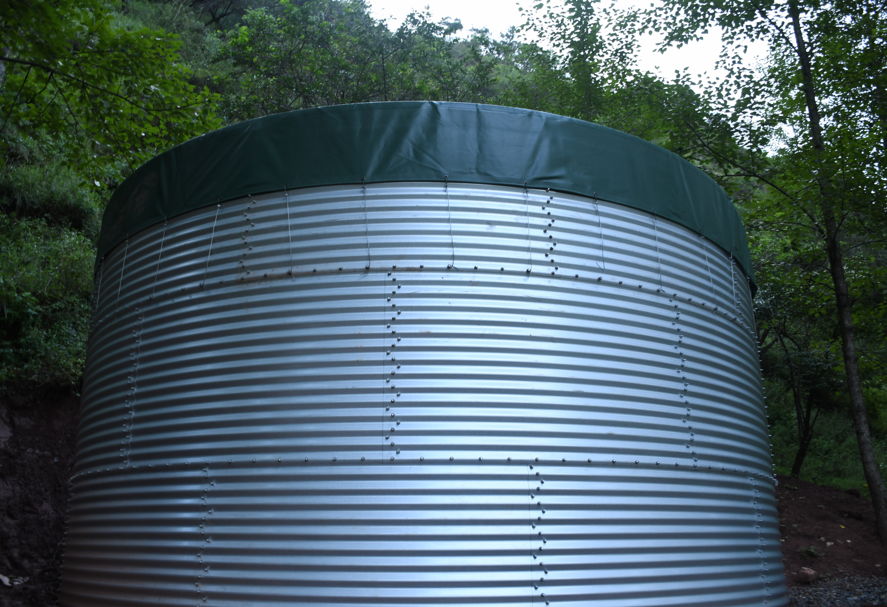 傳統蓄水池造價真的低嘛？