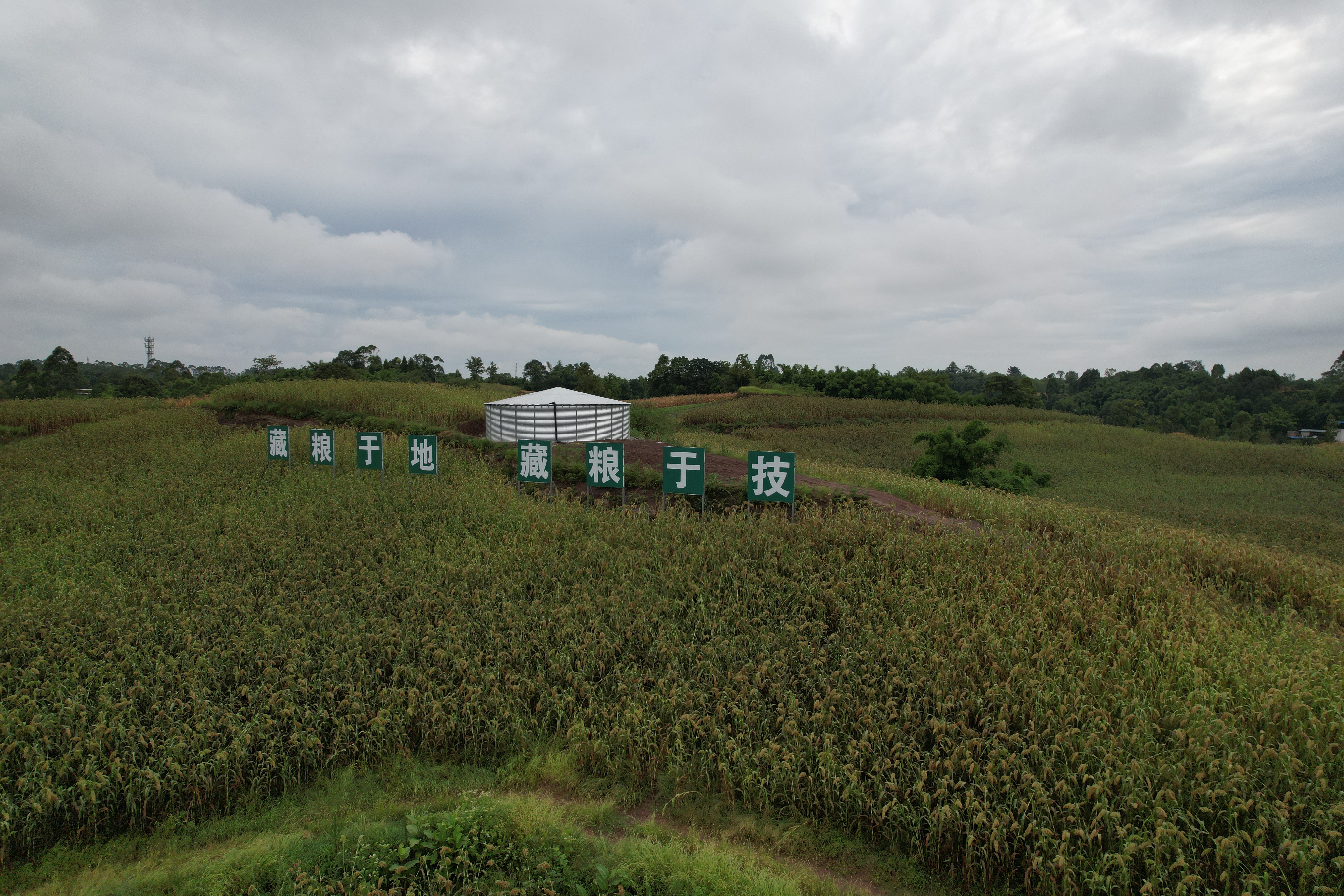 裝配式蓄水池為什么不能地埋